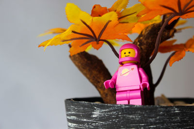 Low angle view of pink toy on tree