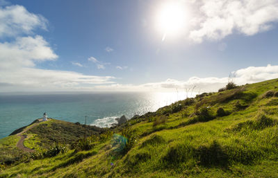 Landscape of cape reinga with tasman sea and pacific ocean