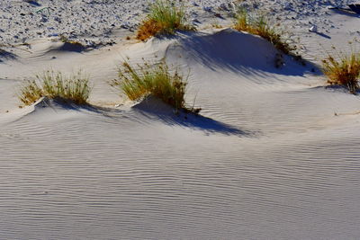 High angle view of wet sand on beach