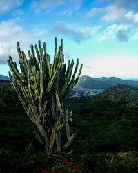 Scenic view of mountains against cloudy sky