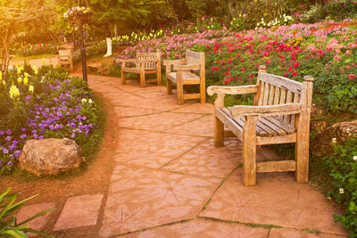 View of chairs in garden