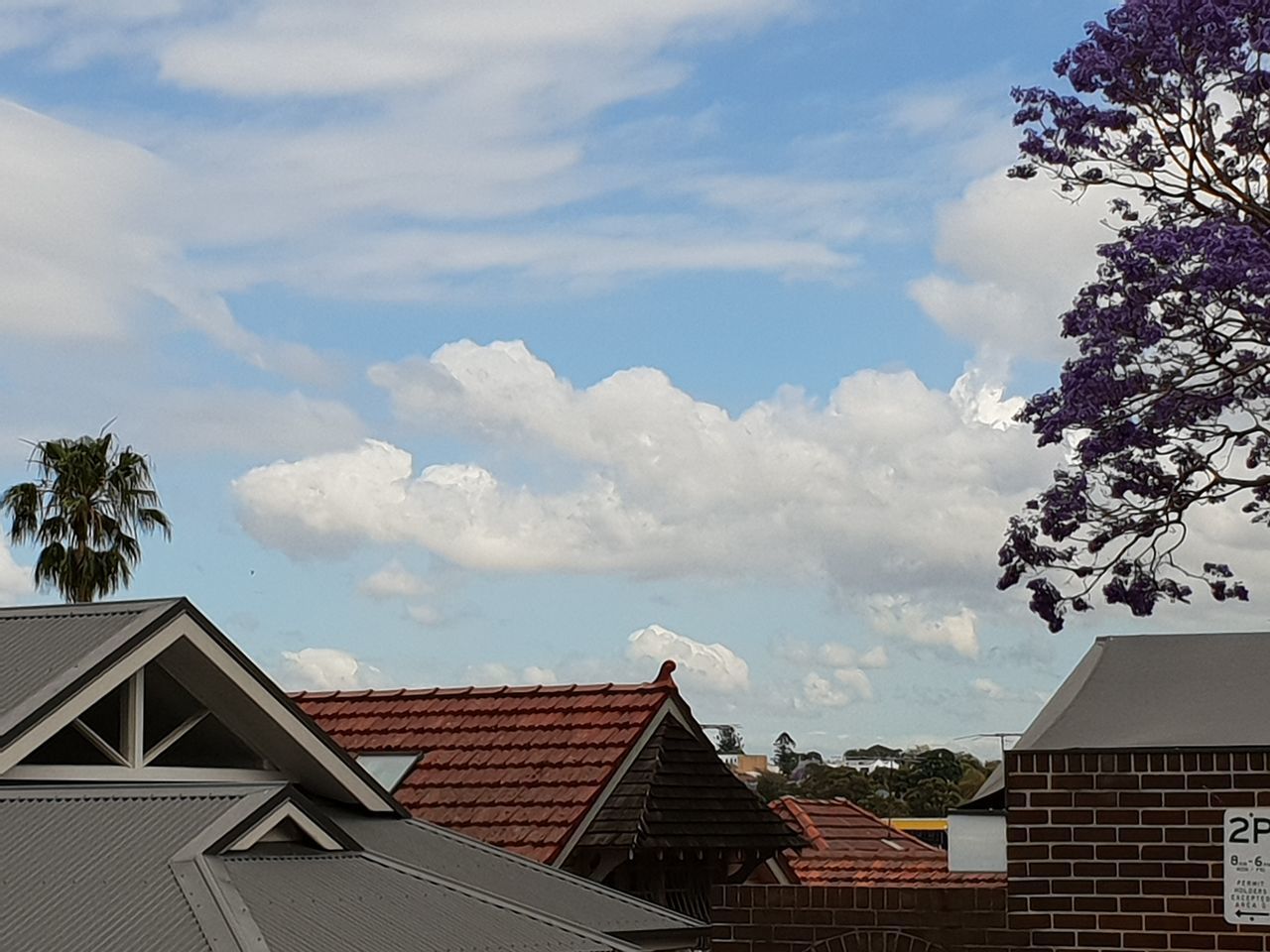 LOW ANGLE VIEW OF HOUSES AGAINST SKY