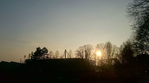 Silhouette of trees at sunset