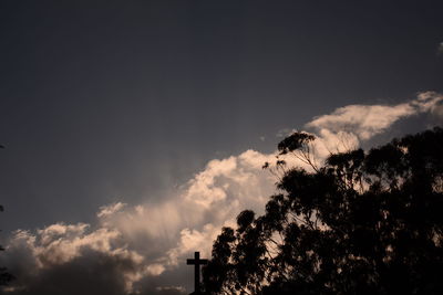 Low angle view of silhouette bird against sky