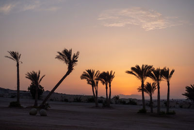 Silhouette palm trees against sky during sunset