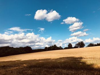 Scenic view of field against sky