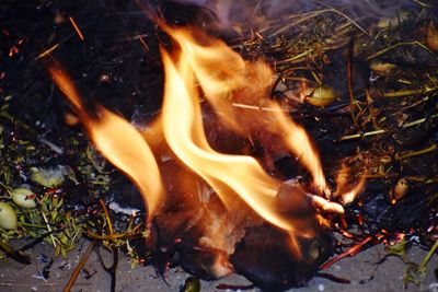 fire