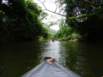 Man in boat on river against trees