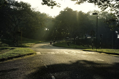 Road by trees against sky