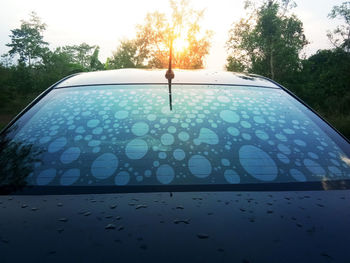 Close-up of raindrops on car windshield