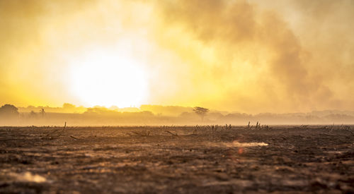 Scenic view of field against sky during sunset