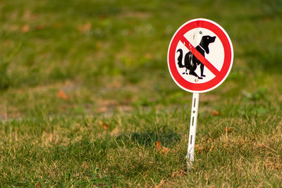 Dogshit prohibition sign with a black dog and a red frame on a green grass field