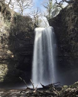 View of waterfall in forest