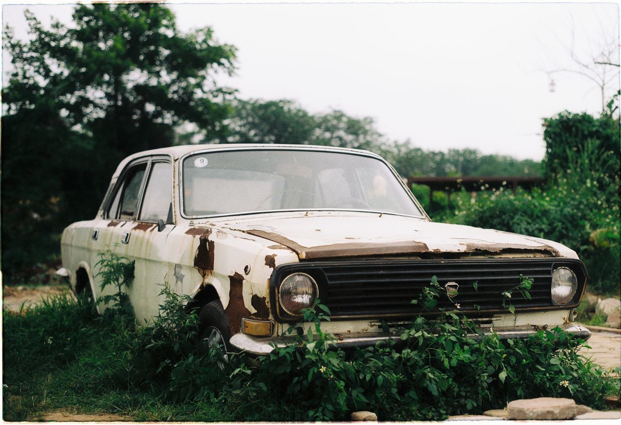 ABANDONED VINTAGE CAR