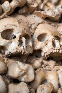 Full frame shot of human skulls