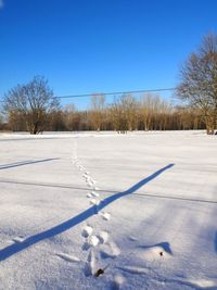 Snow covered field against clear blue sky with animal footprints