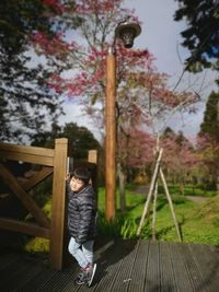 Side view of boy looking away while standing by railing against trees