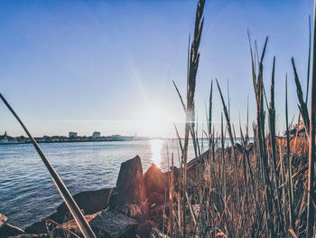 Scenic view of sea against clear sky