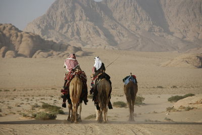 Rear view of people riding camels on desert landscape against mountain