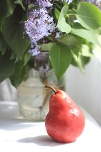 Close-up of apples on apple