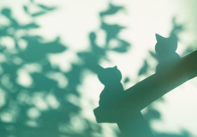 Close-up of silhouette plant against blurred background