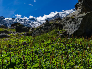 View of mountain range