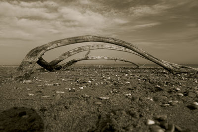 Thatched roof on beach against sky