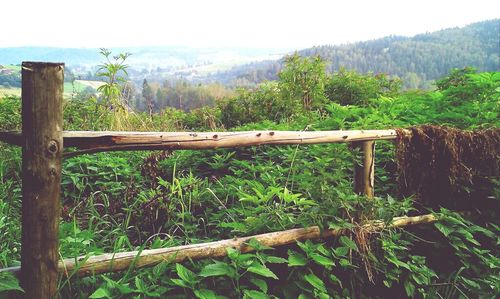 Scenic view of mountains