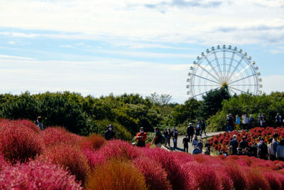 View of ferris wheel against sky