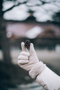 Close-up of hand holding white leaf