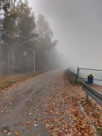 Sunlight falling on road amidst autumn trees against sky