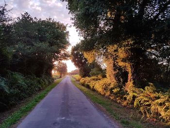 Road amidst trees against sky during autumn