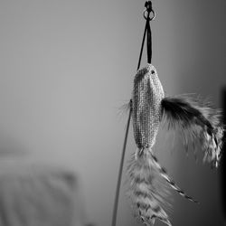 Close-up of feather hanging against sky