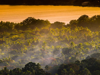 High angle view of trees against sky during sunset