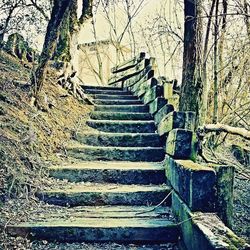 Steps leading to staircase