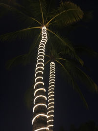 Low angle view of coconut palm tree against sky at night