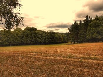 Scenic view of field against sky during sunset