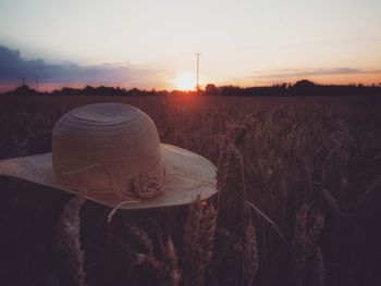 Scenic view of field against sky during sunset