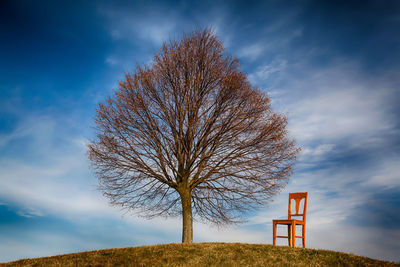 Low angle view of bare tree and chair on hill against cloudy sky