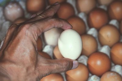 Close-up of hand holding eggs