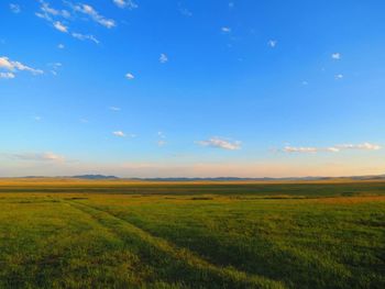 Scenic view of field against sky