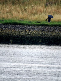 Bird flying over sea
