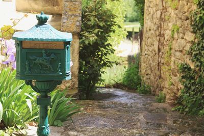Plants growing in front of building