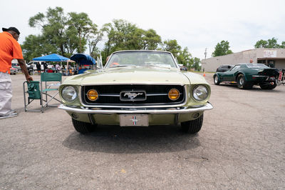 Cars on road against trees in city