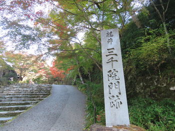 Information sign by tree in park