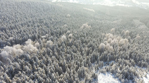 High angle view of snow covered land