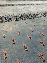 High angle view of prints on carpet in mosque in cesme