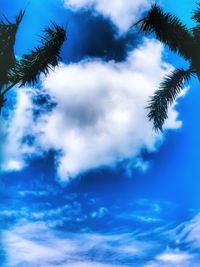 Low angle view of palm trees against blue sky