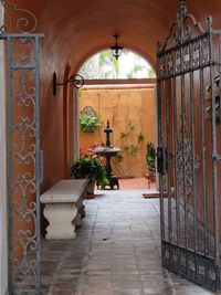 Plants in corridor