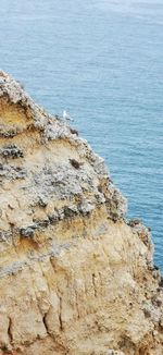 High angle view of rocks on sea shore